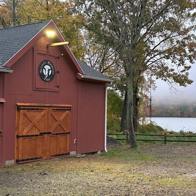 This Connecticut Animal Sanctuary Is Worth Visiting For Its One-Of-A-Kind Animal Yoga Sessions - Decor Hint A Restored Dairy Farm Dating Back To 1813