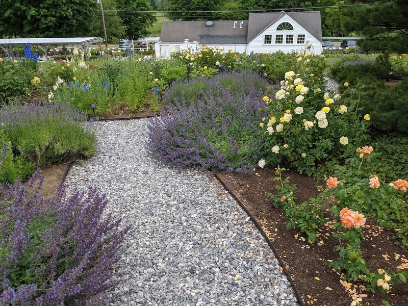 Seven Decades Of Family Gardening