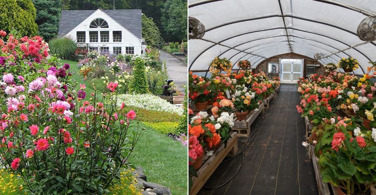 This Connecticut Garden Market Looks Like Something From A Fairy Tale - Decor Hint