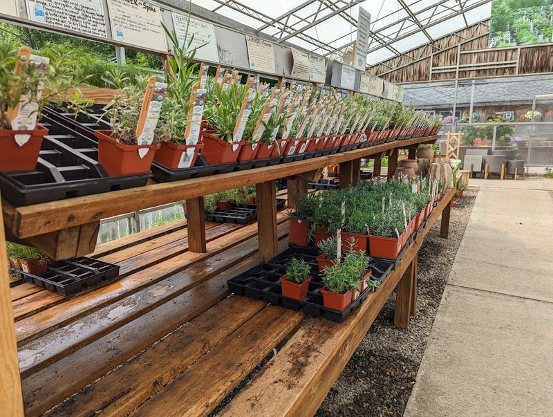 This Connecticut Herb Farm Is Filled With Fragrant Gardens Most People Never Knew Existed - Decor Hint Fragrant Herb Gardens Surround The Property