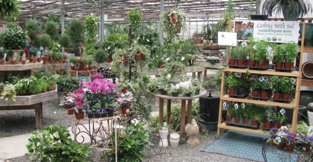 This Connecticut Herb Farm Is Filled With Fragrant Gardens Most People Never Knew - Decor Hint