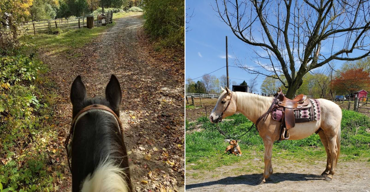 This Connecticut Horse Farm Offers The Kind Of Adventure Youll Never Forget - Decor Hint