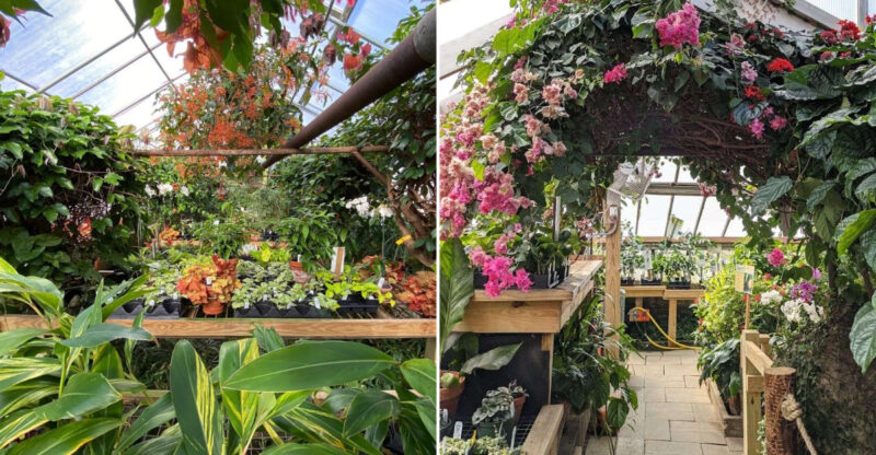 This Connecticut Plant Destination Is A Magical Hidden Escape Most People Never Discover
