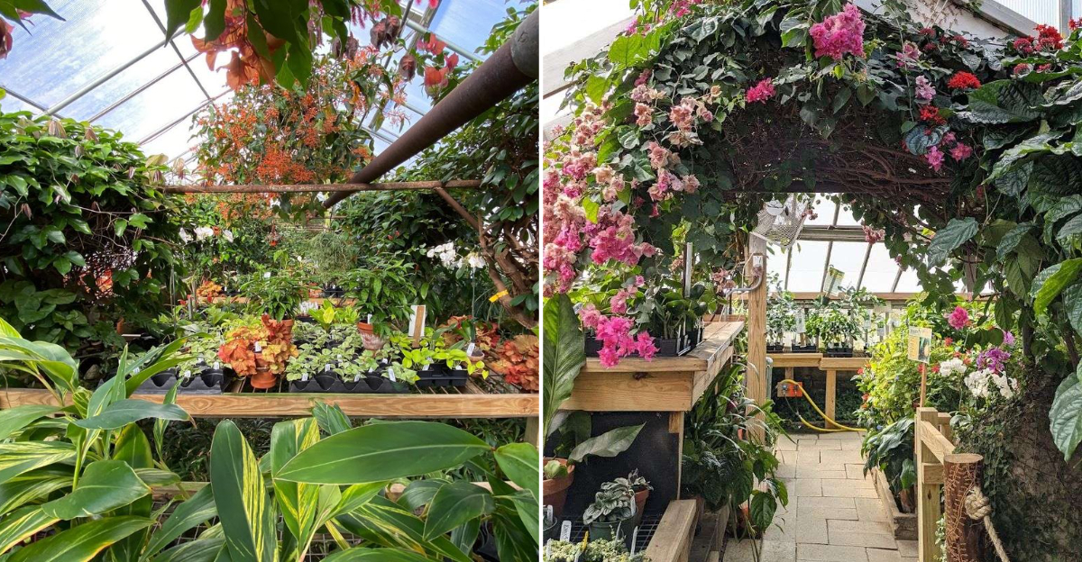 This Connecticut Plant Destination Is A Magical Hidden Escape Most People Never Discover - Decor Hint