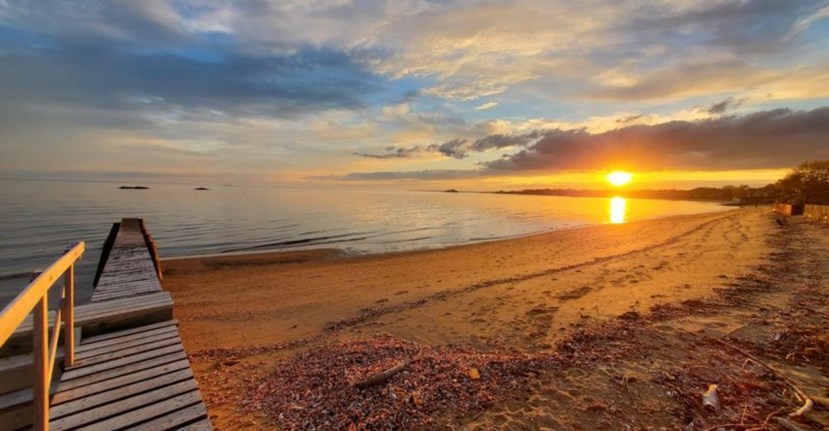 This Connecticut Shoreline Spot Is One Of The Best Places To See Seals In The Wild - Decor Hint