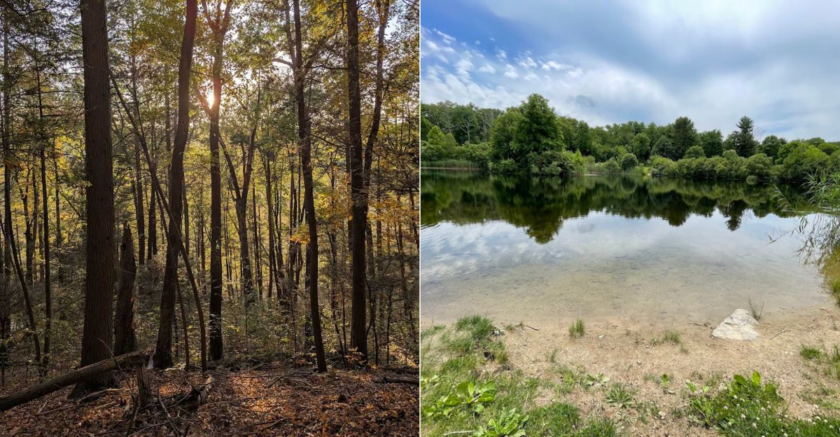 This Connecticut State Park Is A Peaceful Retreat Away From The Crowds - Decor Hint