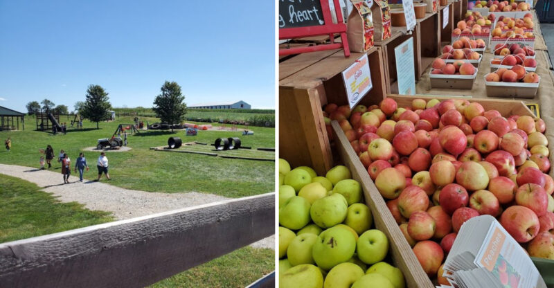 This Delightful Kentucky Orchard Has Pick-Your-Own Fruit, A Petting Zoo, And Farm-Fresh Honey