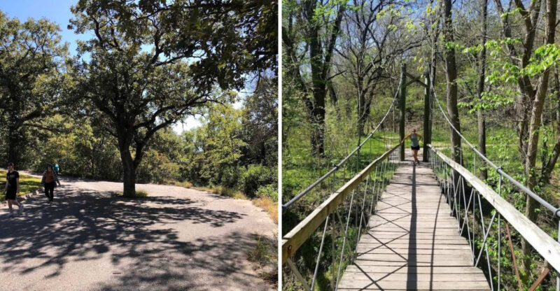 This Easy Nebraska Trail Takes You To A Suspension Bridge Hidden In The Trees