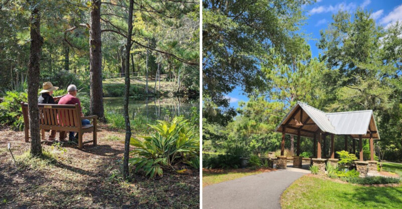 This Florida Arboretum Is One Of The State’s Most Peaceful Escapes