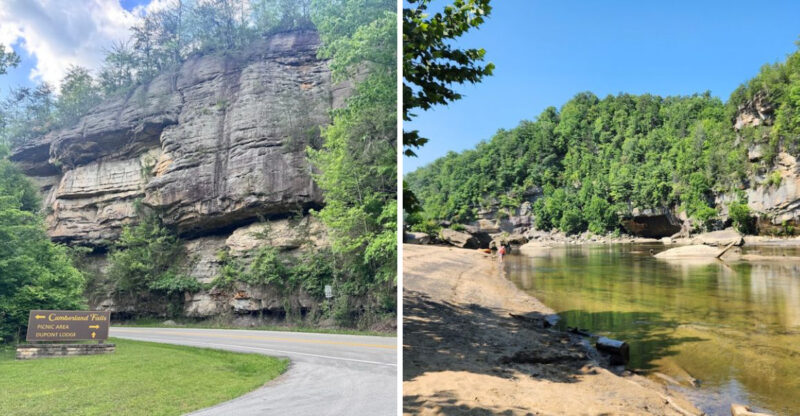 This Free Kentucky Forest Lets You Hunt For Fossils Millions Of Years Old