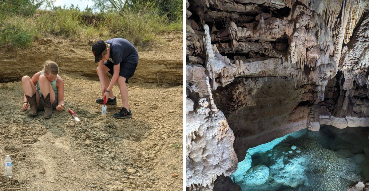 This Free Texas Fossil Park Lets You Dig For 300 Million Year Old Treasures - Decor Hint