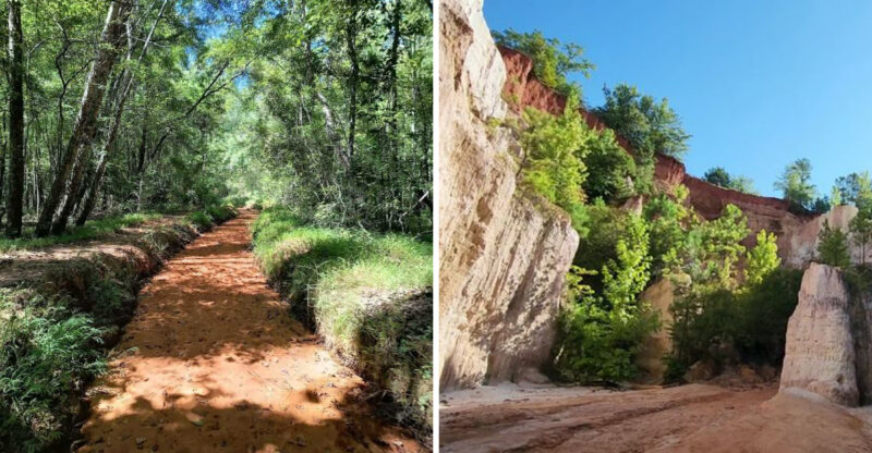 This Georgia Canyon Trail Feels Like A Desert Adventure In The Deep South