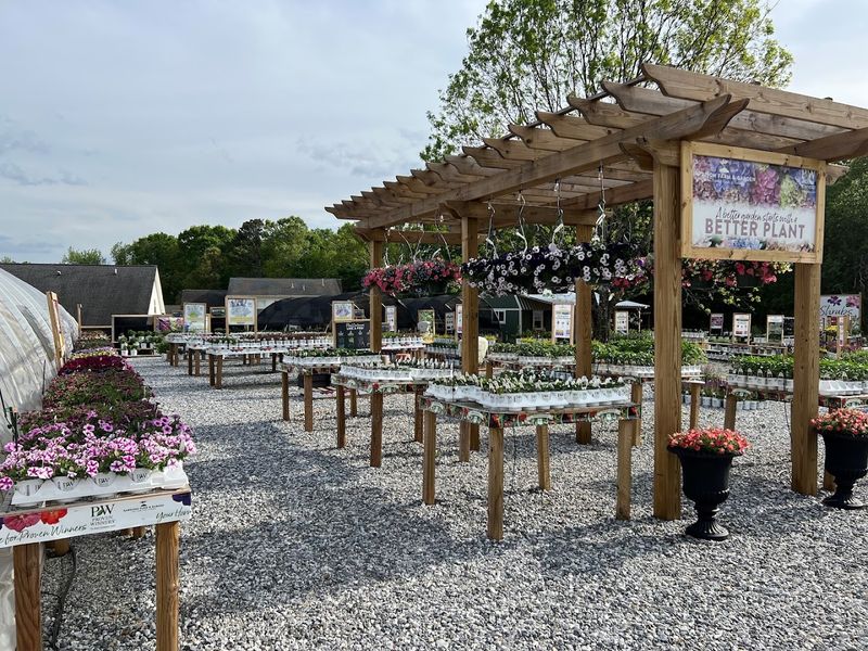 This Hidden Georgia Flower Farm Is A Colorful Escape Of Blooms, Greenhouses, And Garden Charm - Decor Hint A Flower Farm Built On More Than Just Blooms