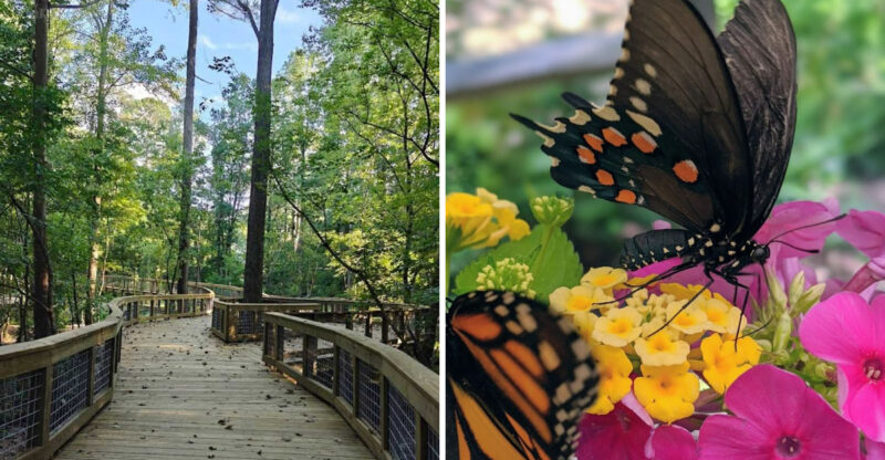This Hidden Georgia Park Is Filled With Tiny Gnome Homes And Fairy Doors Hidden Among The Trees