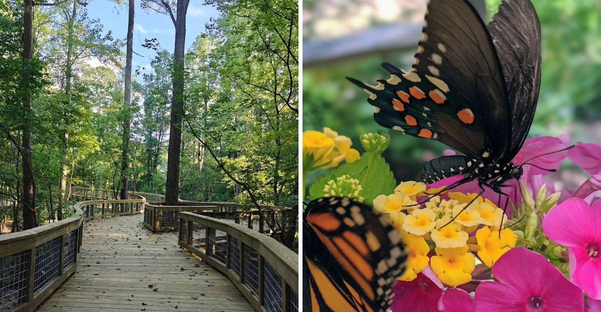 This Hidden Georgia Park Is Filled With Tiny Gnome Homes And Fairy Doors Hidden Among The Trees - Decor Hint