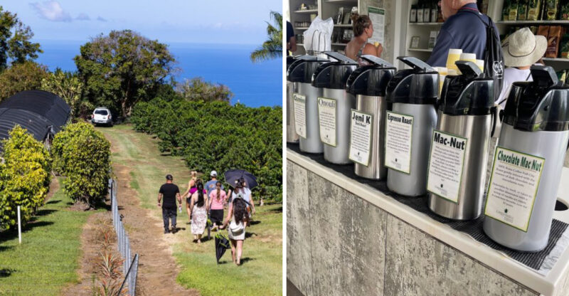 This Historic Hawaii Coffee Farm Has Been Growing Kona Beans Since 1850