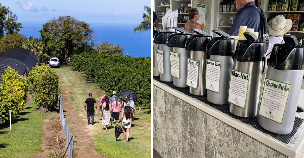This Historic Hawaii Coffee Farm Has Been Growing Kona Beans Since 1850 - Decor Hint