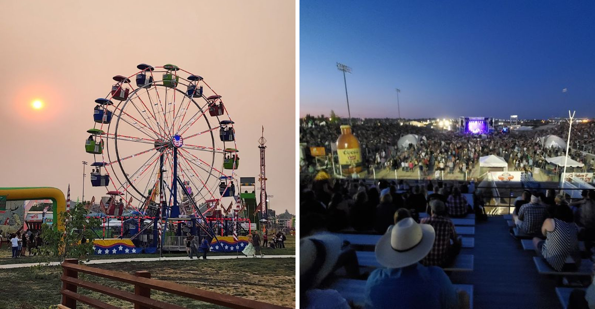 This Idaho County Fair Will Have You Thrilled Before The First Ride Even Starts - Decor Hint