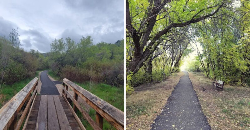 This Idaho Forest Trail Offers A Quiet Walk Beneath Towering Trees