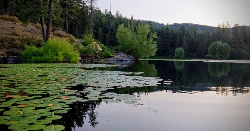 Start With The Calm Water Before The Story Changes