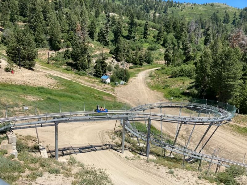 This Idaho Mountain Playground Has Summer Trails, Bluebird Views, And A Coaster Flying Through The Trees - Decor Hint Start With The Glade Runner Mountain Coaster