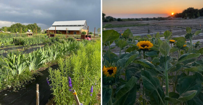 This Idaho U-Pick Flower Farm Is A Colorful Summer Destination You’ll Want On Your 2026 List
