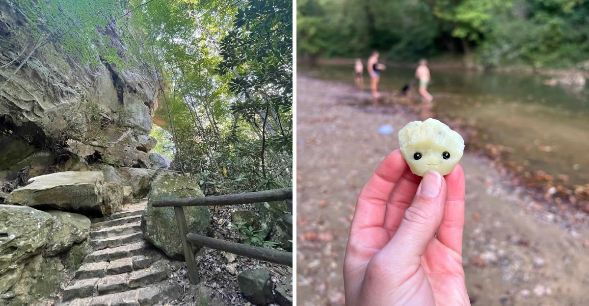 This Kentucky Road Trip Is A Rockhounds Dream From Mineral Museums To Gem Mining Stops - Decor Hint