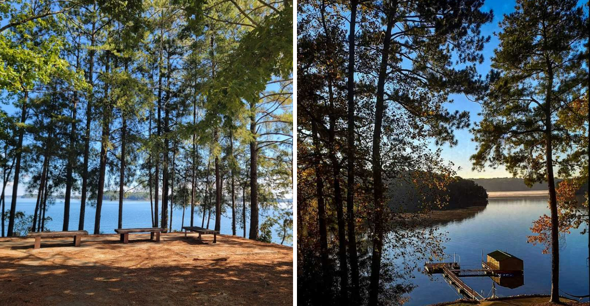 This Massive Georgia Lake Has Over 500 Miles Of Shoreline And Endless Scenic Views - Decor Hint