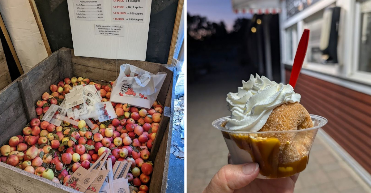 This Michigan Orchard Keeps People Coming Back For The Famous Apple Cider Donuts - Decor Hint
