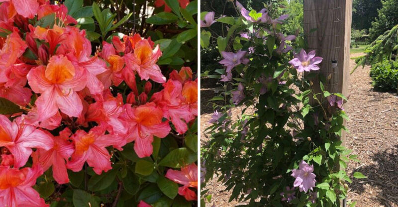 This Nebraska Arboretum Feels Like A Hidden Garden Most Travelers Never Expect