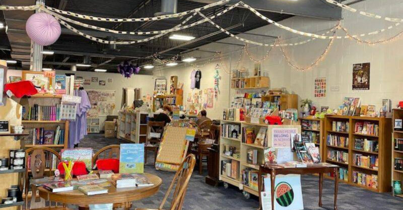 This Nebraska Bookstore Pairs Foster Cats With Cozy Chairs, Fresh Reads, And A Big-Hearted Mission