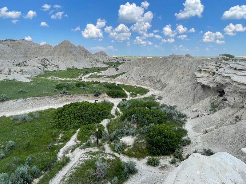 Walk The One-Mile Interpretive Loop