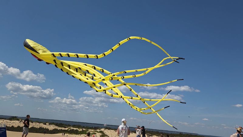 Watch Giant Kites Take Over The Sky