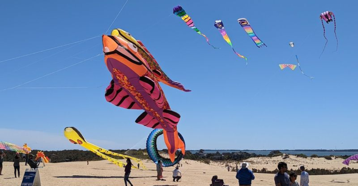 This North Carolina Festival Transforms Giant Sand Dunes Into A Spectacular Kite Show - Decor Hint