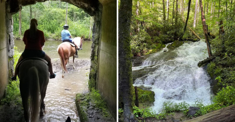 This North Carolina Horseback Ride Leads Straight To A Smoky Mountain Waterfall
