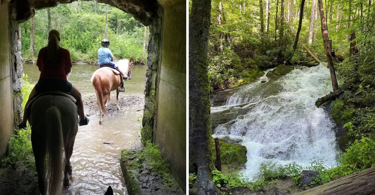 This North Carolina Horseback Ride Leads Straight To A Smoky Mountain Waterfall - Decor Hint