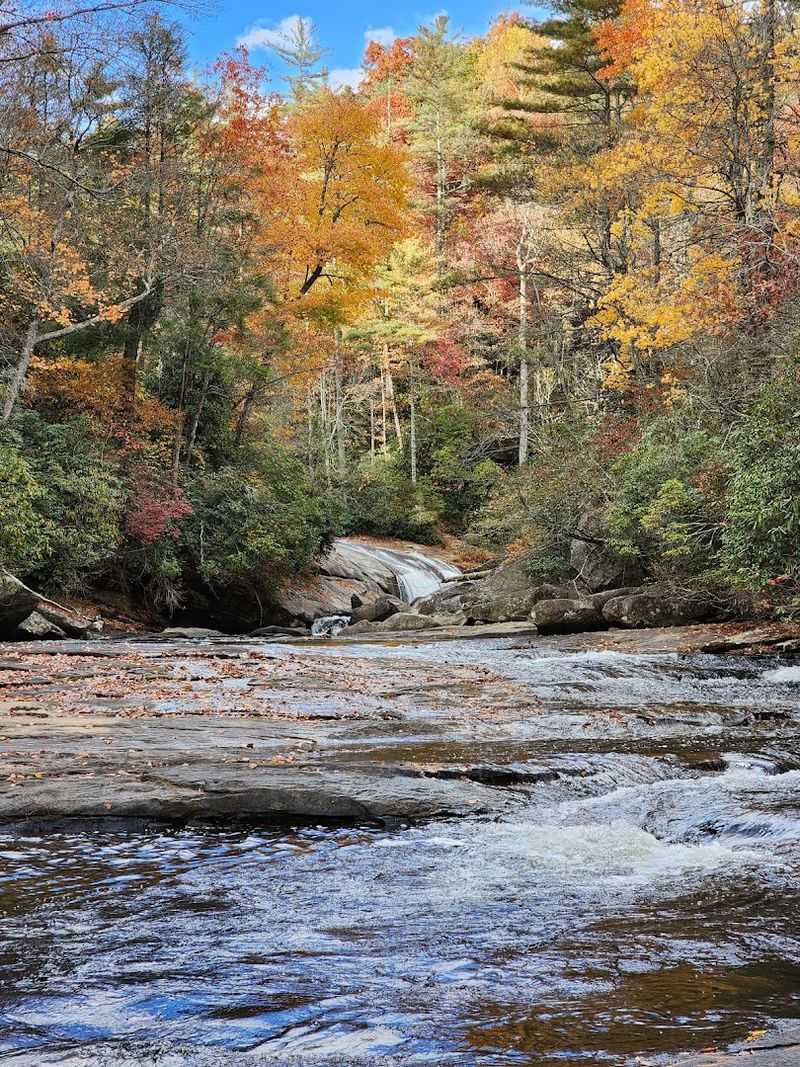 Where North Carolina Goes Tropical