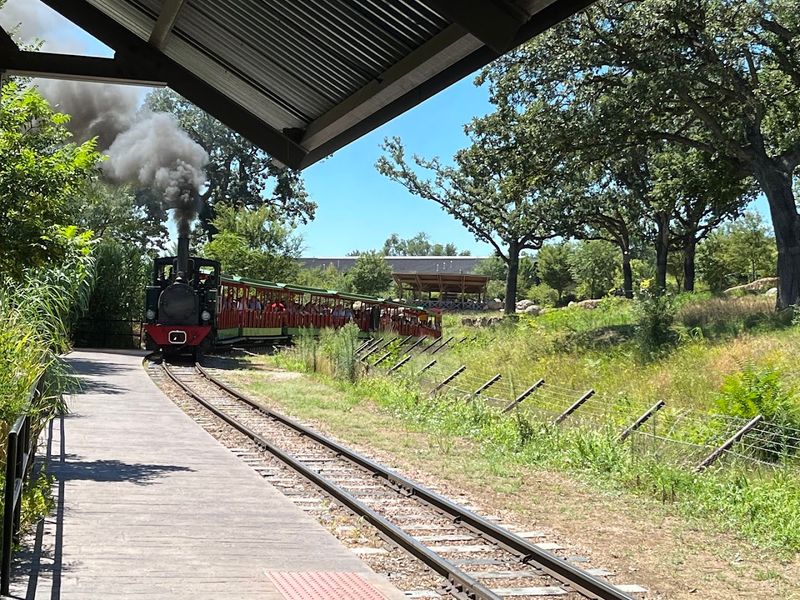 The Train Uses Genuine Open-Air Passenger Cars