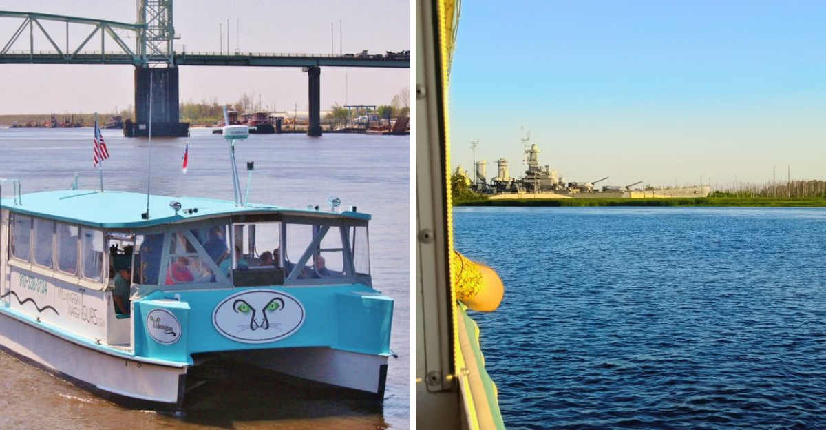 This Peaceful North Carolina River Cruise Is The Chillest Surprise Hiding Along The Riverwalk - Decor Hint