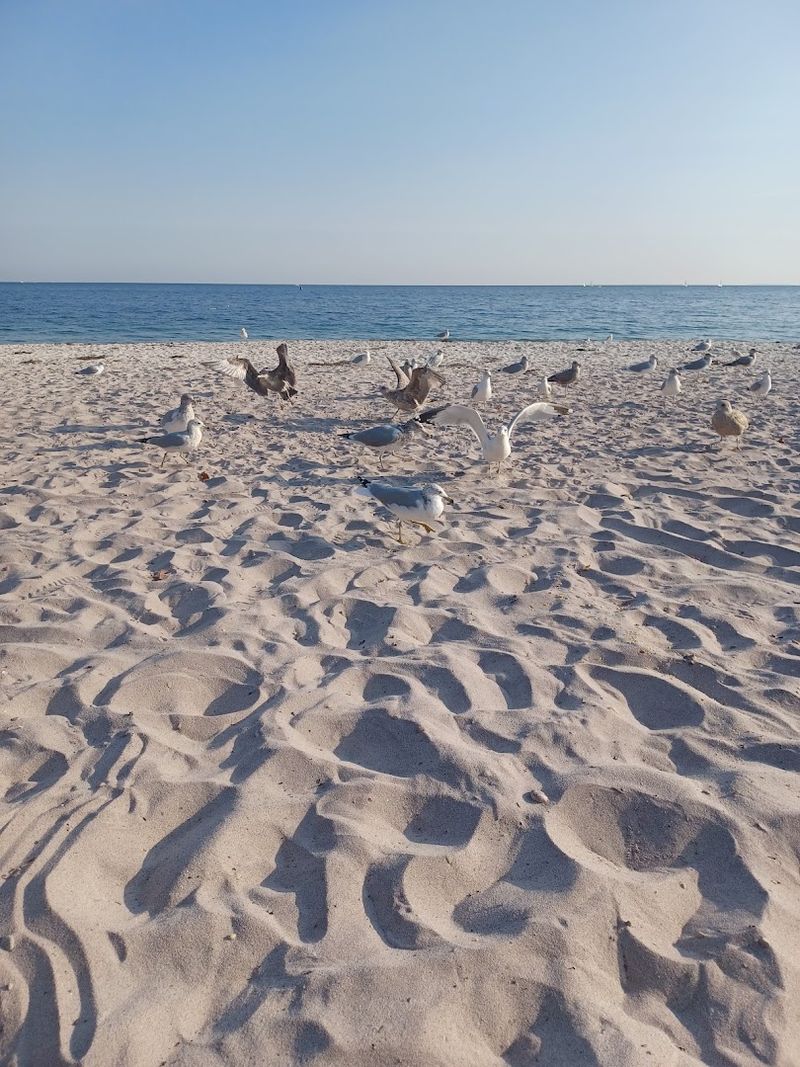 Sandy Shore Beneath A Coastal Bluff