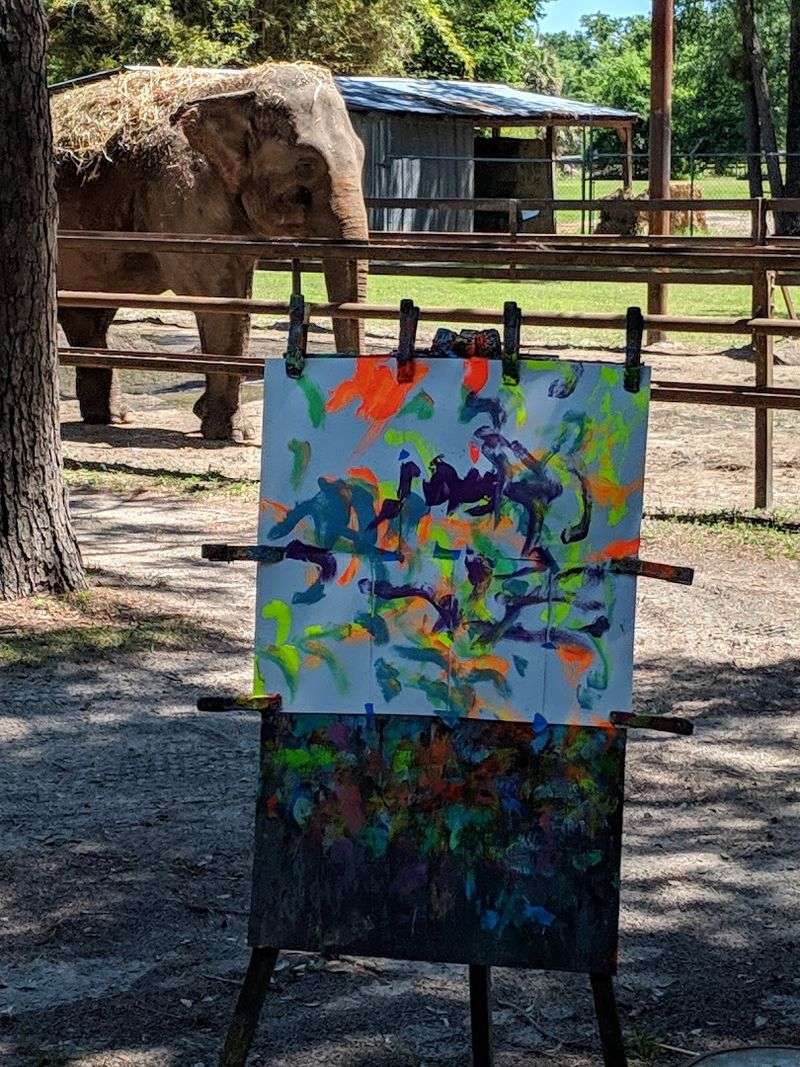 How I Found This Hidden Ranch