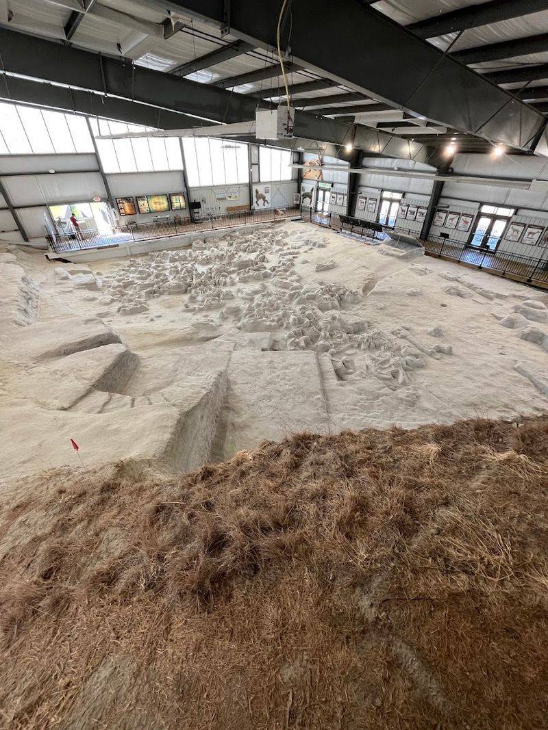 More Than 200 Skeletons Remain At The Site