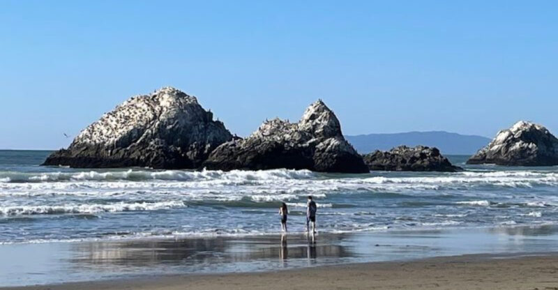 This San Francisco, California Beach Reveals A 19th-Century Clipper Shipwreck At Extremely Low Tide