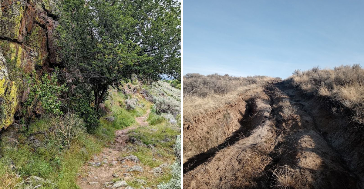 This Secluded Idaho Hike Leads To Centuries Old Wagon Ruts 2 - Decor Hint
