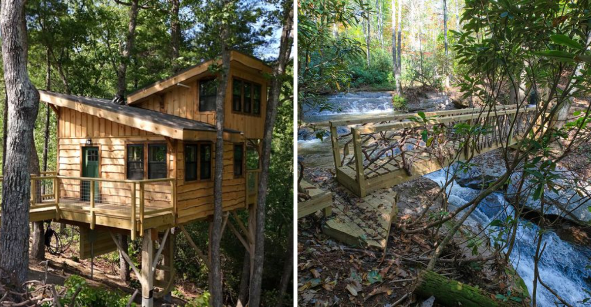 This Secluded North Carolina Retreat Lets You Sleep In Treehouses High Above A Mountain Gorge - Decor Hint