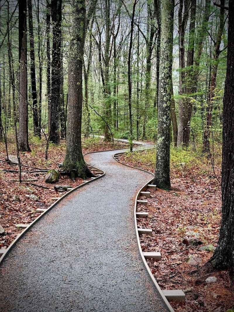 This Senior-Friendly Connecticut Nature Trail Offers Benches, Shade, And A Peaceful Woodland Walk - Decor Hint A Gentle Trail Built For Taking Your Time