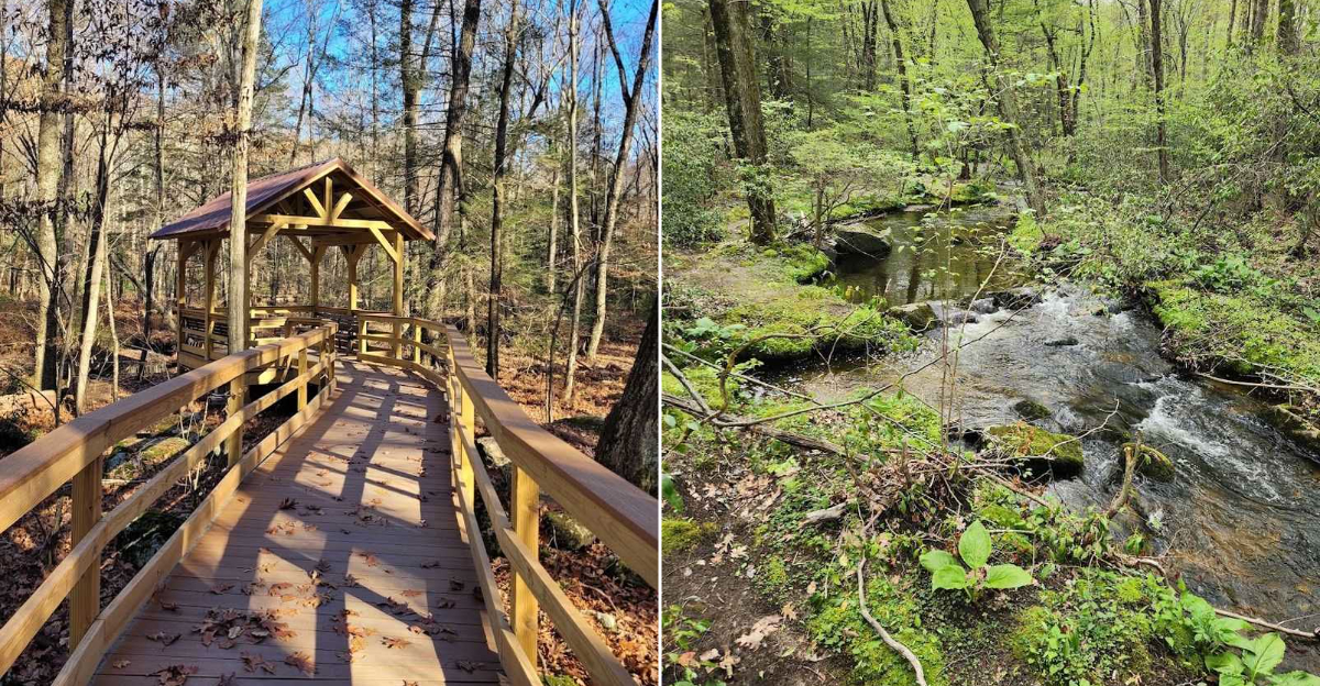 This Senior Friendly Connecticut Nature Trail Offers Benches Shade And A Peaceful Woodland Walk - Decor Hint