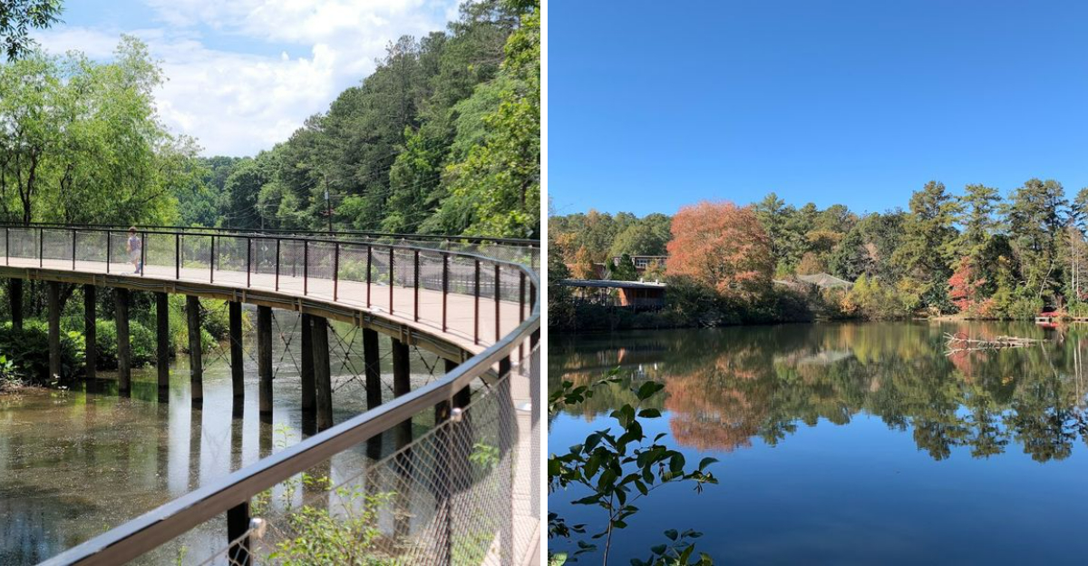 This Senior Friendly Georgia Nature Trail Features Benches Shade And A Tranquil Forest Walk - Decor Hint