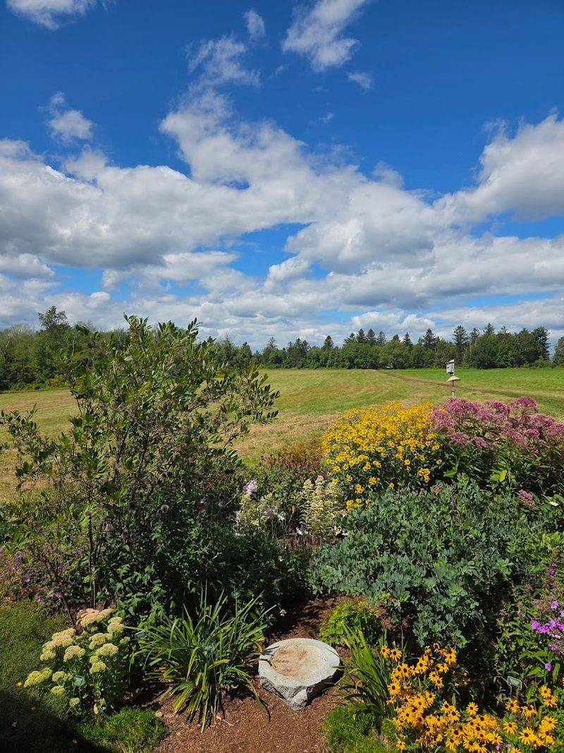 This Spot In Connecticut Is The Kind Of Place That Makes You Slow Down Instantly - Decor Hint Rolling Meadows Made For Wandering