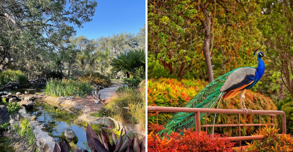 This Storybook California Garden Trail Comes With Peacocks Strutting Around Every Corner - Decor Hint